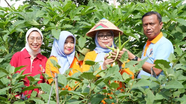 Panen Kedua Melon Urban Farming, Pemkot Jaktim Dorong Ketahanan Pangan di Tengah Ancaman El Nino